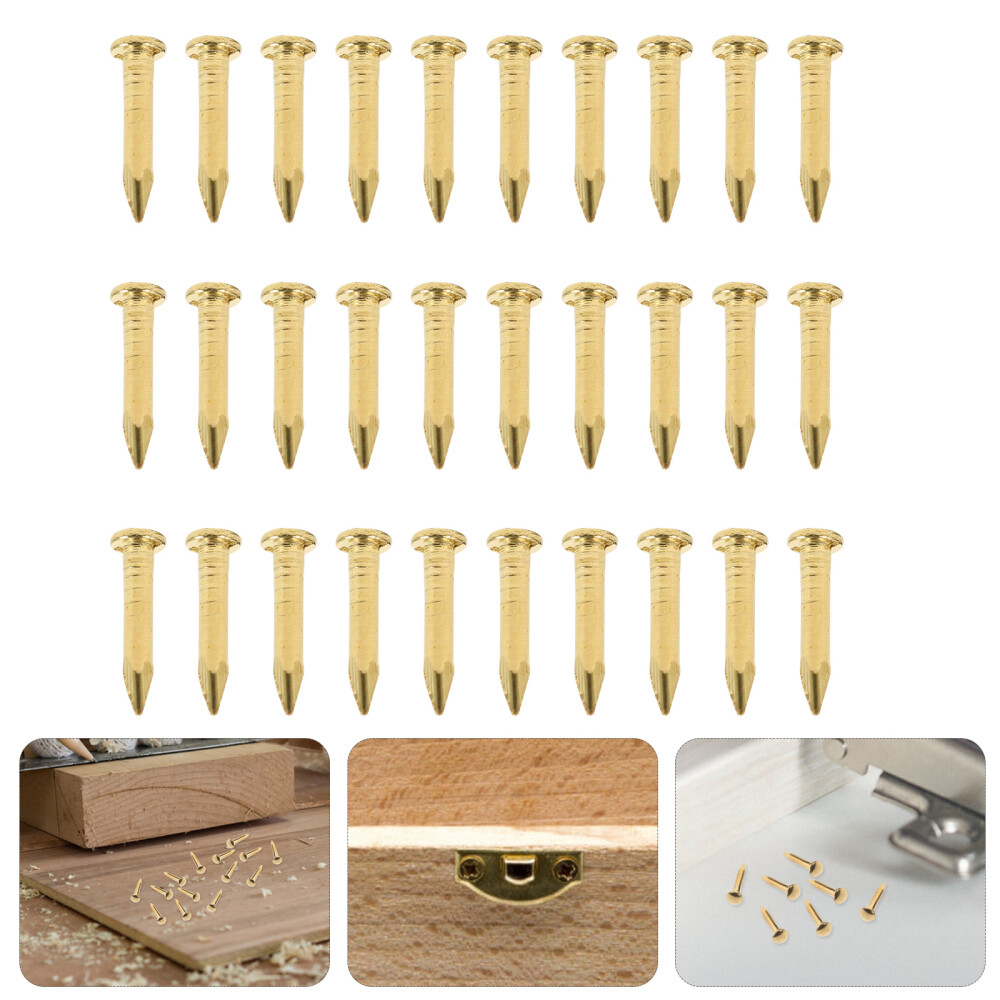 200 Pcs Round Head Brass Nails Decorative Nails Brass Nails Tiny eBay