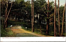 Highland Park Pines Illinois Scenic Forest Landscape Pathway UDB Postcard