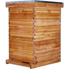 10 Frames Bee Hive Coated Beeswax Includes Beehive Frames and Waxed Foundations