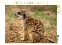 Calvendo Puzzle Meerkats | 1000 Pieces, Finished Size 25.2 × 18.9 In (64 × 48 Cm