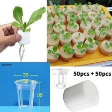 50 X Hydroponics Plant Grow Net Cup Mesh Aeroponic Aquaponic Mesh Pot-Basket 0.12 per sponge