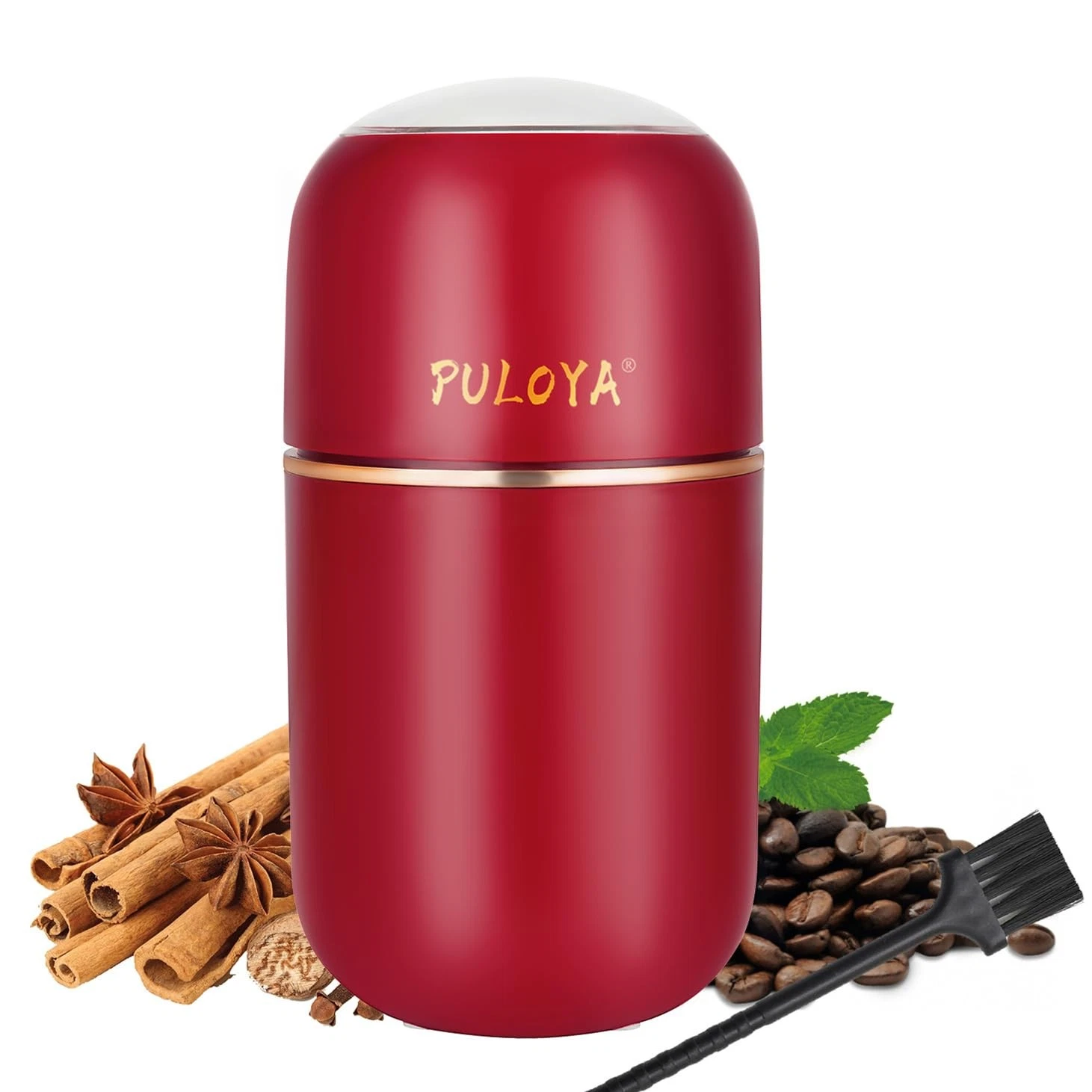 Electric Coffee Grinder for Beans, Spices, Herbs, Grains and Nuts, Stainless ...