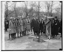 Mrs. Coolidge plants a tree,2/28/29,Grace Goodhue,First Lady of United States