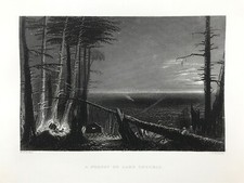 Lake Ontario Wald für amerikanische Landschaft Bartlett & Willis 1840