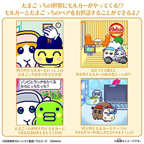 TamaSma Karte PUI pui Molcar Freunde für Tamagotchi Tama Sma mol Auto - Bild 7 von 7