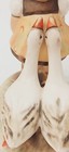 Bild 8 von 10