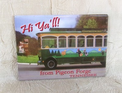 Hi Ya'll From Pigeon Forge Tennessee Metal Souvenir Magnet