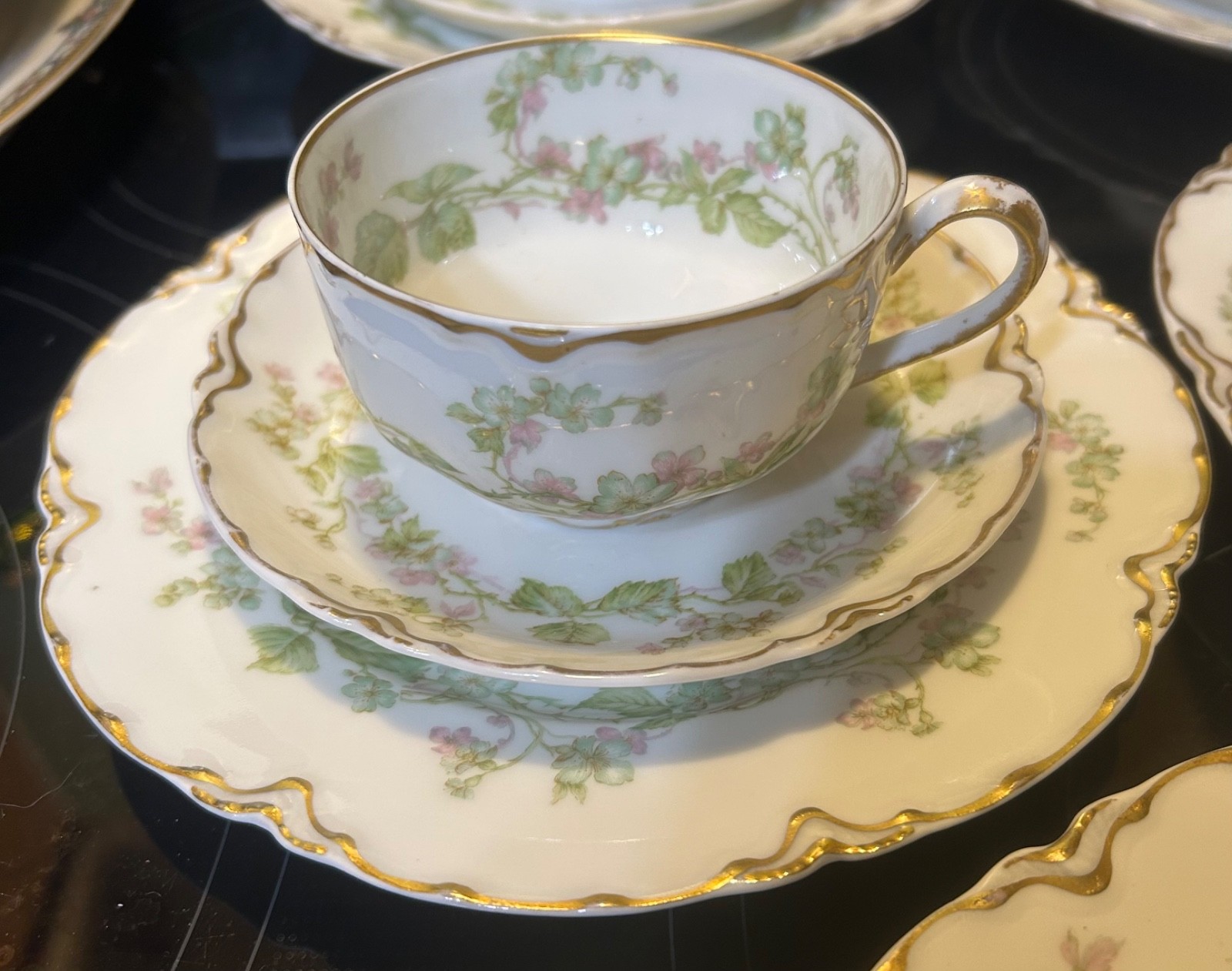 Haviland & Co Limoges France "THE CHARONNE" Luncheon Set 1920