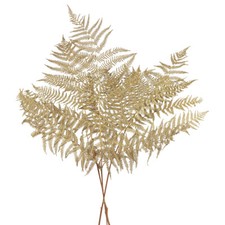 Trockenblumen Deko Farn 70cm - 10 Farnbl&auml;tter Natur - Trockenblumenarrangements