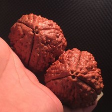 Indonesian Bodhi Bead Hand Exercise Balls Three Petal Pattern Pair 42mm