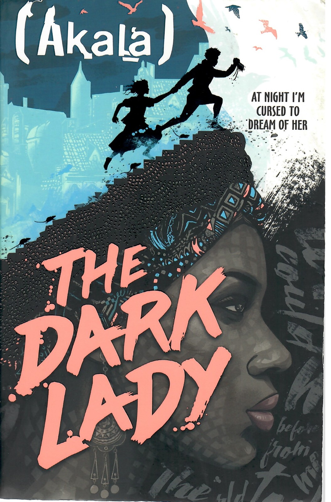 The Dark Lady - Akala - Hodder & Stoughton - Acceptable - Paperback