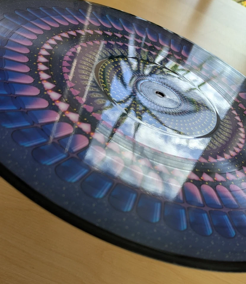 12" Zoetrope Vinyl THE VACCINES: "Back In Love City" Blood Records hand-numbered - Bild 4 von 4