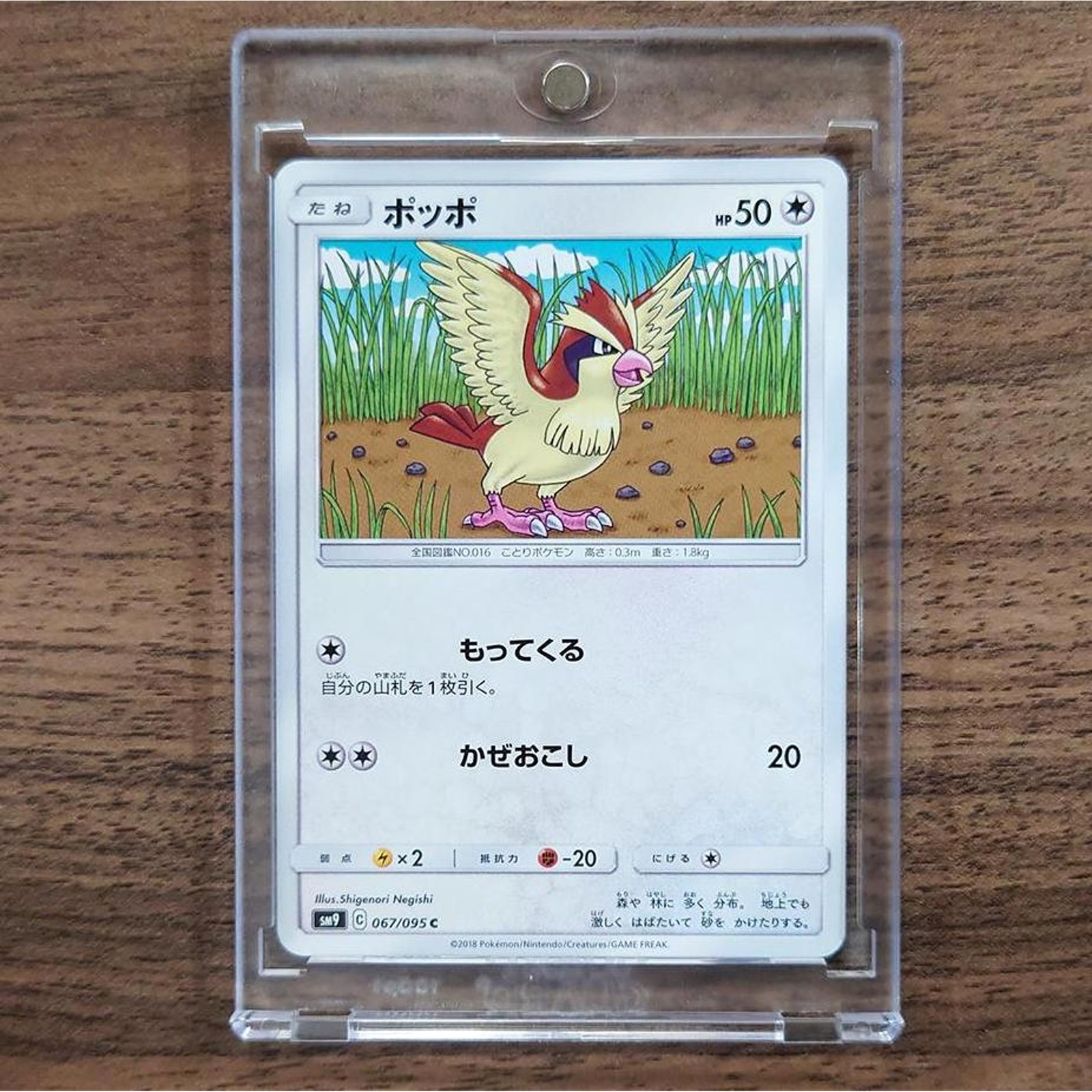 Pidgey C 067/095 SM9 Tag Bolt Japanese Pokemon Card