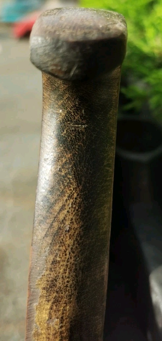 Picture 21 of 22