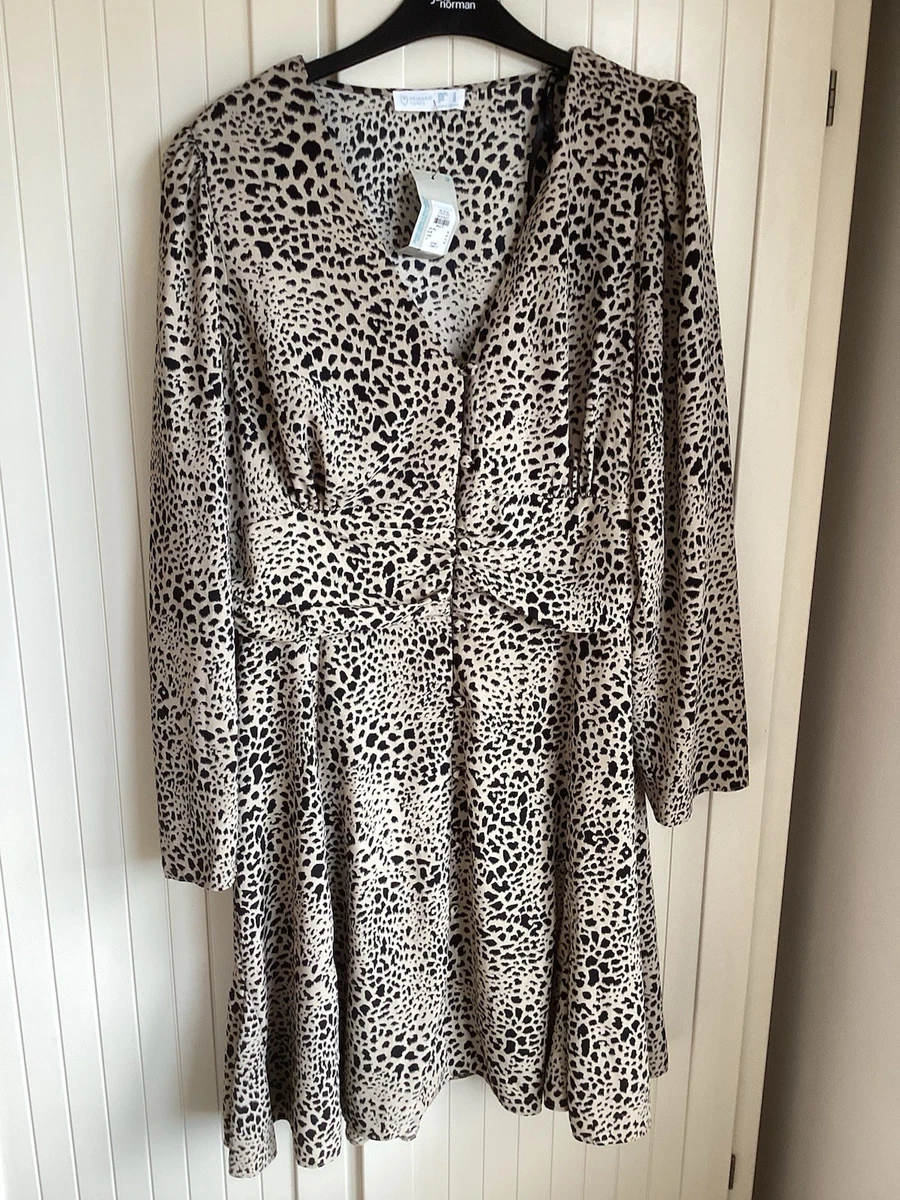 green emerald velvet dress Green Animal Print Gold Button Gathered Midi Dress  AX Paris