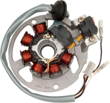RICK'S MOTORSPORT ELECTRIC Stator 21-550