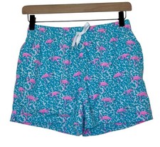 Chubbies Domingos are Flamingos 4" Classic Swim Trunk Blue Quick Dry Size Small