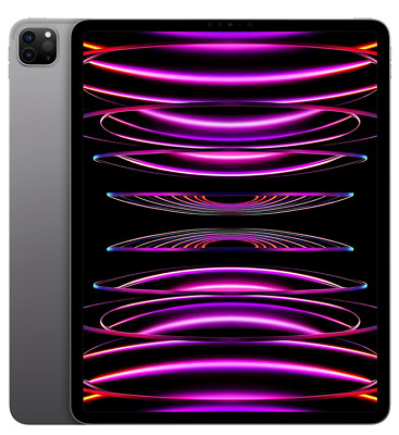 Apple iPad Pro 12.9-inch 6th Gen (2022) 256GB Wi-Fi + Cell Space Gray Good