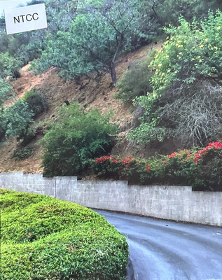 Cielo Drive - Los Angeles, Ca. 8'' x 10'' Photo