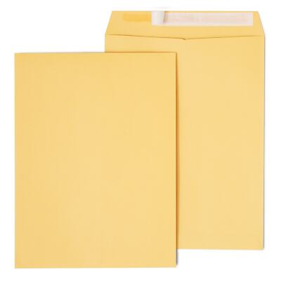 Staples EasyClose Catalog Envelopes 9''L x 12''H Brown 500/Carton ST479888-CCVS