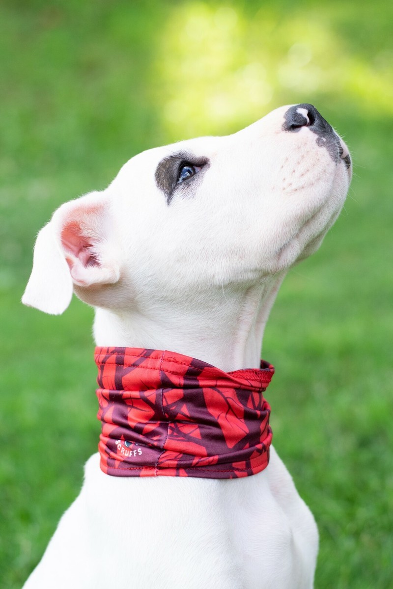 Pup Scruff Dog Neck Gaiter All Breeds No Tying Easy Pull On Snood Calming  Scarf
