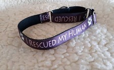 1 Inch Adjustable Martingale Collar. Double Or Triple Stitched With welded...