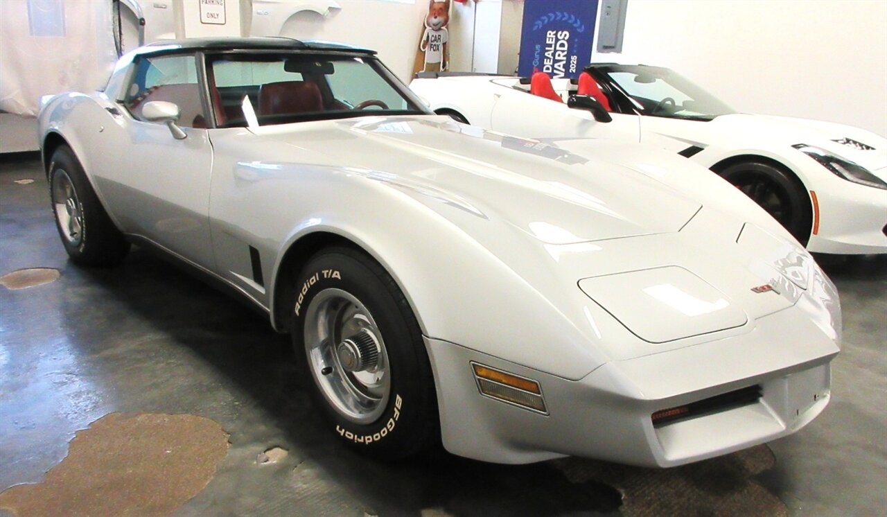 1980 Silver Chevrolet Corvette Coupe  | C3 Corvette Photo 6