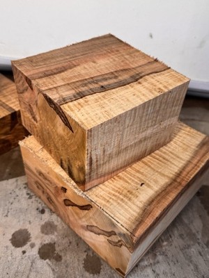 1) 6 x6 x4  CURLY Ambrosia MAPLE Turning Blanks Thick wood. Bowl Blanks Waxed
