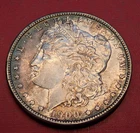 1900P Toned Morgan Silver Dollar XF 260439