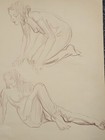 Picture 20 of 20
