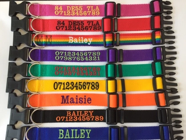 Personalised Embroidered webbing dog collar 3 sizes 9 colours