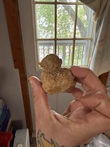 Rubber duck shaped chicken nugget