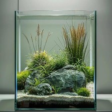 Glass Fish Tank, Easy to Maintain Small Aquarium for