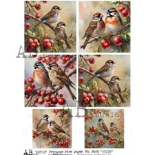 Sparrows & Berries | A4 Rice Paper | Paper for Decoupage | AB Studios
