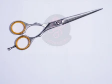 Dragon Scissors Professional Stainless Steel Hair Cutting Shears – Japan