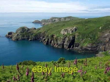 Photo 6x4 Foxgloves above Pwll Deri Trefasser View northeastwards from th c2008