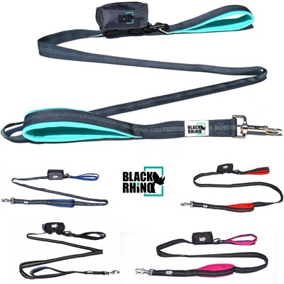 dog leash with second handle