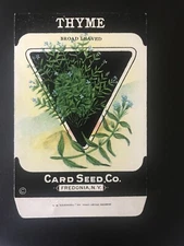1920s Litho Antique Vintage Card Seed Co. Packet Pack Thyme broad leaved Unused