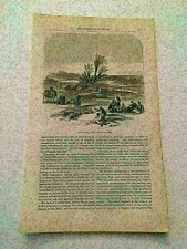 K97) Oyun Musa Wells of Moses Egyptian Ruins Harper's Monthly 1858 Engraving
