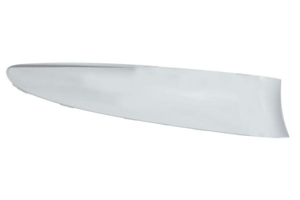 Right Front BLIC 5703-05-2013928P Trim/Protection Strip, bumper for ABARTH,FIAT