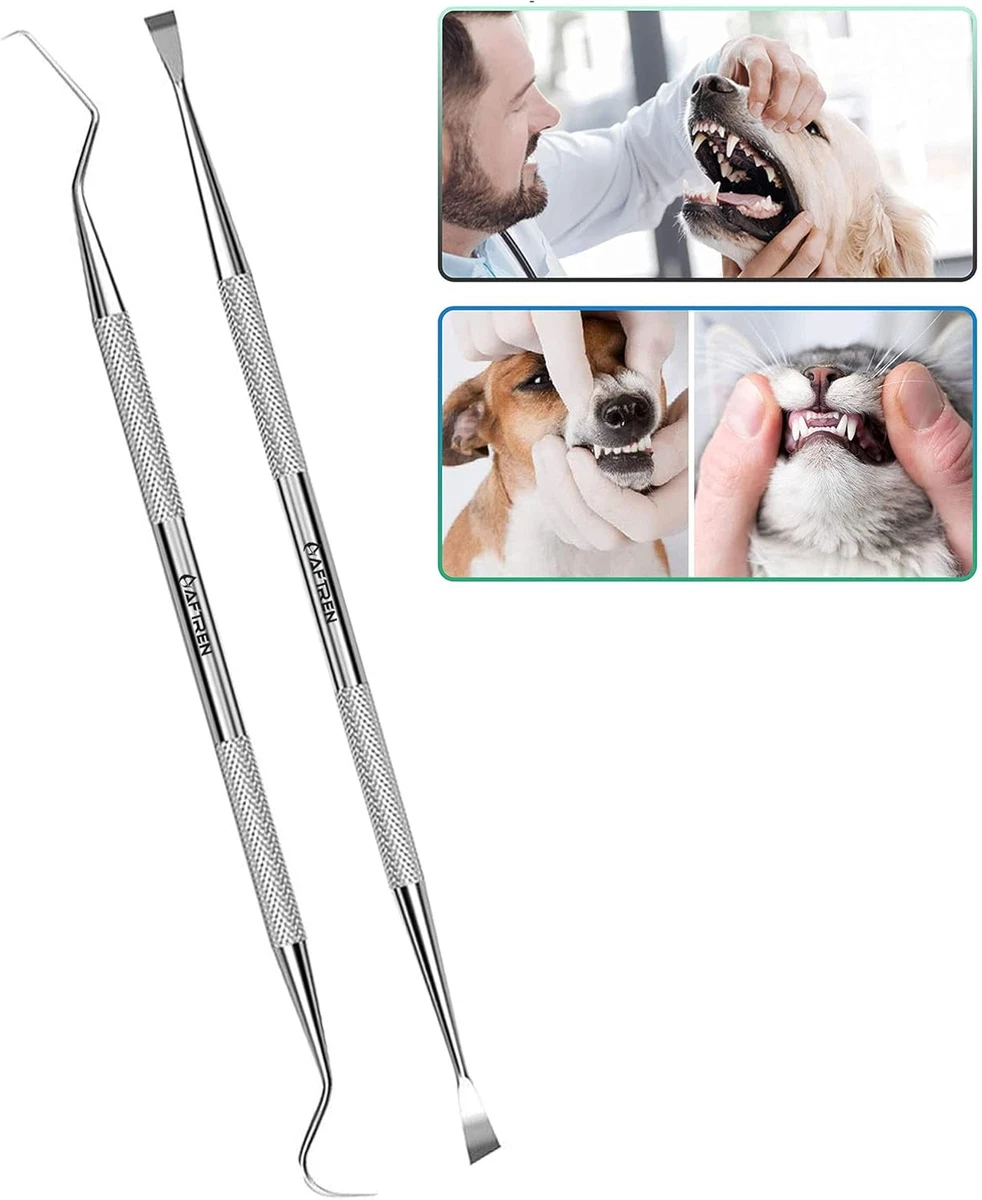 Gran Oferta, Kits Dentales De Acero Inoxidable, Instrumentos, Herramientas De Li - Foto 7