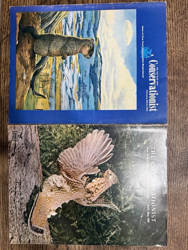 2 New York State Conservationist Nature & Wildlife Magazines 
