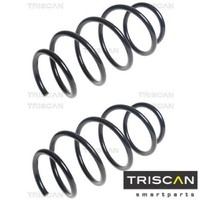 2X Fahrwerksfeder Triscan 875025119 2 Federn Satz Federnsatz FüR Renault