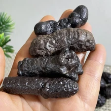 4pcs 121g  Limonite & Hematite pseudomorph after Marcasite Prophecy Rock Stone