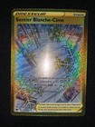 Carte Pokémon Sentier Blanche-Cime 213/189 GOLD Astres Radieux EB10 Neuf FR