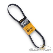 CONTINENTAL KEILRIPPENRIEMEN FÜR AUDI A3 A4 A6 SEAT SKODA VW GOLF 6 7 TIGUAN TDI