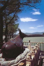 Postcard China Beijing The Summer Palace Bronze Ox Statue MINT Unused