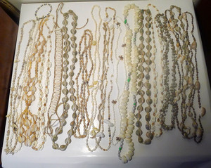 Hawaiian  Shell Necklace  Lot of 18