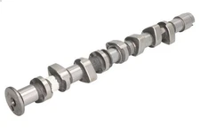 Camshaft KOLBENSCHMIDT 50006381 for VW POLO III (6N1) 1 1996-1999