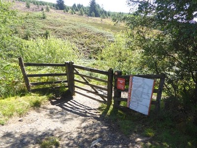Foto 6x4 Fußweg bei Jimmy's Hill Kielder Der Wanderer 's Route nach unten f c2017